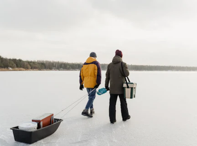 People taking sled